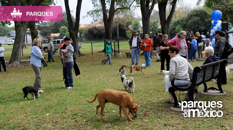 Parque canino, su lugar en la sociedad